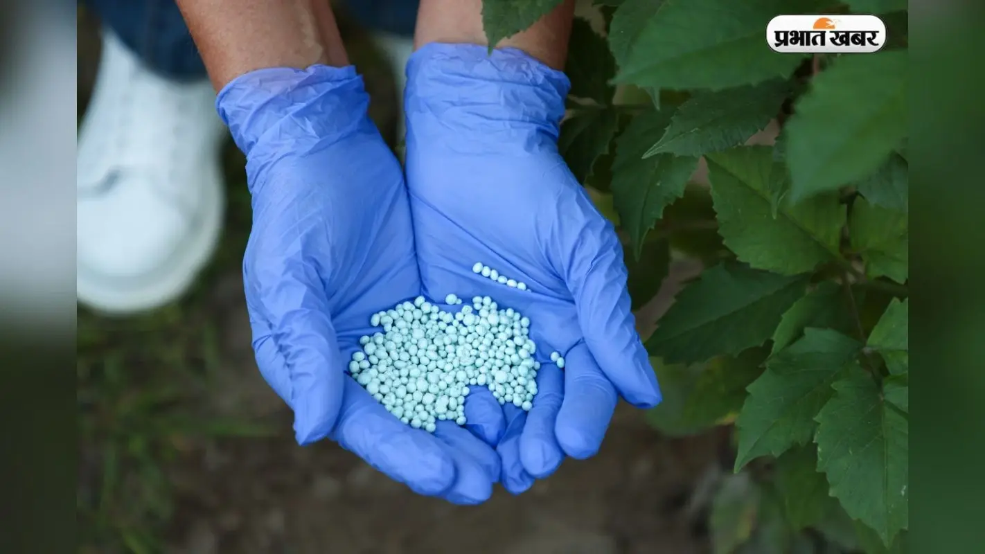 मिडिल ईस्ट के तनाव से क्या भारत में खाद (Fertilizer) महंगी होगी? जानिए किसान और कंपनियों पर इसका असर