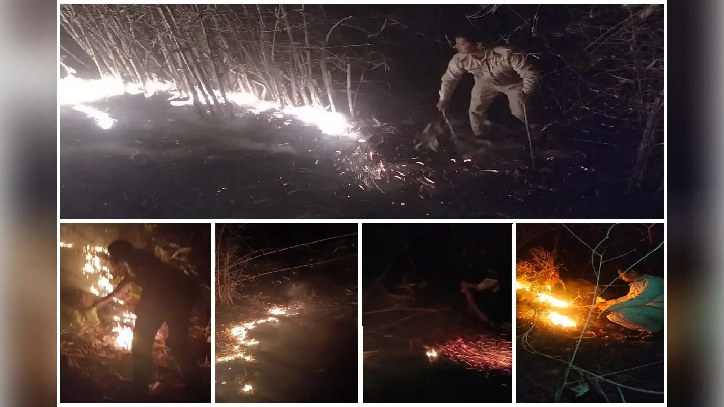महुआ भड़का रहा झारखंड के जंगलों में आग, देवघर के डिगरिया पहाड़ की चोटी चपेट में