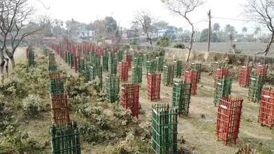 खेल मैदान में पौधरोपण के कारण खिलाड़ियों व वॉकरों को हो रही परेशानी
