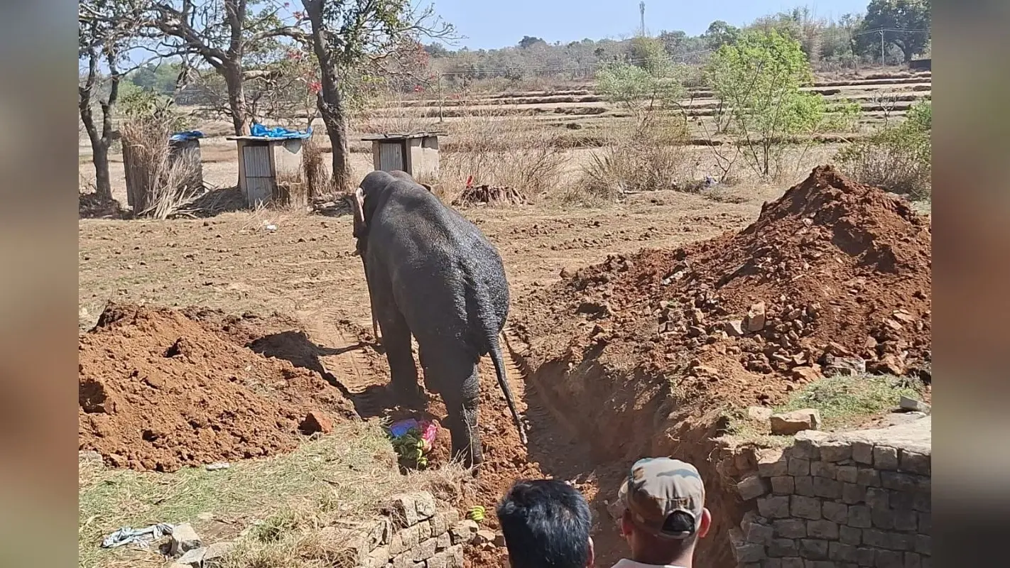 Khunti: शहर से खदेड़ने के दौरान कुएं में गिरा हाथी, बड़ी मुश्किल से निकाला गया बाहर