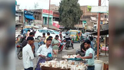 नियमों को ताक पर रख बिना लाइसेंस खुले में हो रही मांस-मछली की बिक्री