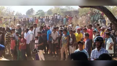 शहर में घुसा जंगली हाथी कुआं में गिरा, रेस्क्यू किया गया