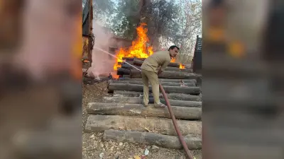 वन प्रमंडल कार्यालय परिसर में लगी आग