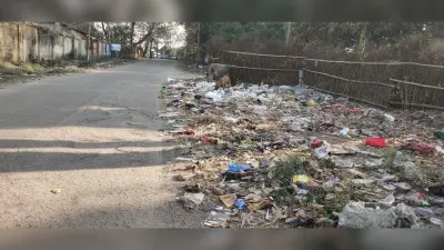 कचरे के ढेर व मच्छरों के आतंक से परेशान हैं सीसीएलकर्मी