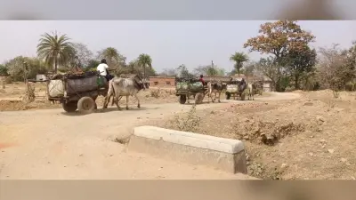 Giridih News :बैलगाड़ी से हो रही कोयले की तस्करी