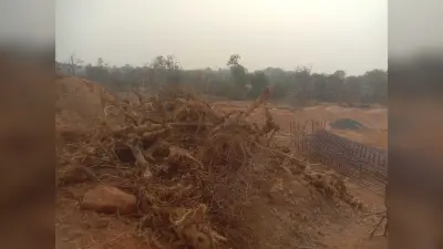 पलाश व महुआ पेड़ काट कर निर्माण कराया जा रहा डिग्री काॅलेज