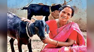 मंईयां सम्मान योजना से रांची की 67,752 महिलाएं बनी स्वावलंबी, हर महीने मिलते हैं 2500 रुपये
