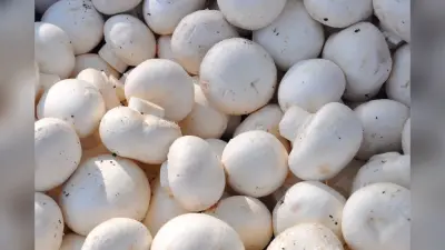 घर पर मशरूम से बनाएं ये मजेदार स्नैक्स