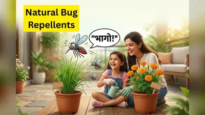 मच्छरों से छुटकारा पाने के लिए घर में लगाएं ये 2 पौधे, कीड़े-मकोड़े रहेंगे कोसों दूर