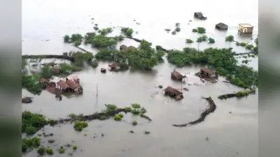 पाकिस्तान में आई बाढ़ पर 2 जर्मन कंपनियों पर क्यों दर्ज हो गया केस? किसानों ने मांगा मुआवजा