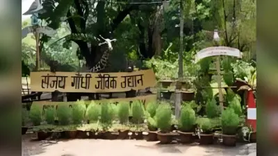 बर्ड फ्लू अलर्ट के बाद,आज से आम दर्शकों के लिए खुला पटना जू