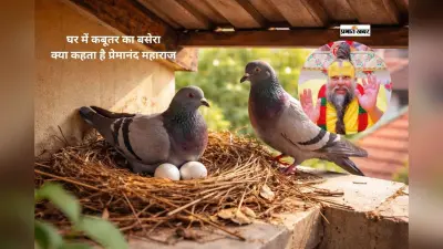 घर में कबूतर का घोंसला शुभ या अशुभ, जानें क्या कहते हैं प्रेमानंद महाराज