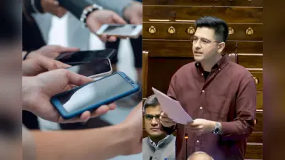 बचे हुए डेटा को बर्बाद होते देख होता है दुख? राघव चड्ढा ने सदन में पेश किए समाधान