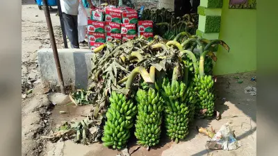 चैती छठ से पहले रांची में फलों की कीमतों में उछाल, व्रतियों की बढ़ी चिंता
