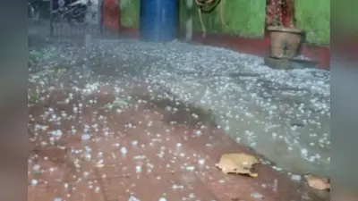 Chaibasa: सारंडा में 20 मिनट की ओलावृष्टि से सफेद हुआ शहर, आम-लीची को नुकसान