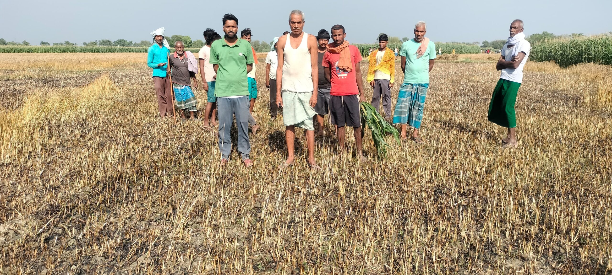 शॉर्ट सर्किट से गेहूं के खेत में लगी आग, हजारों की क्षति
