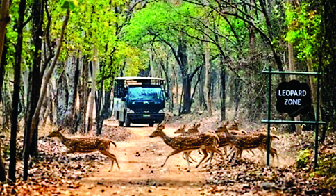 Sambalpur News: डेब्रिगढ़ अभ्यारण्य पहुंचे रिकॉर्ड 85,000 पर्यटक, पांच करोड़ राजस्व संग्रह