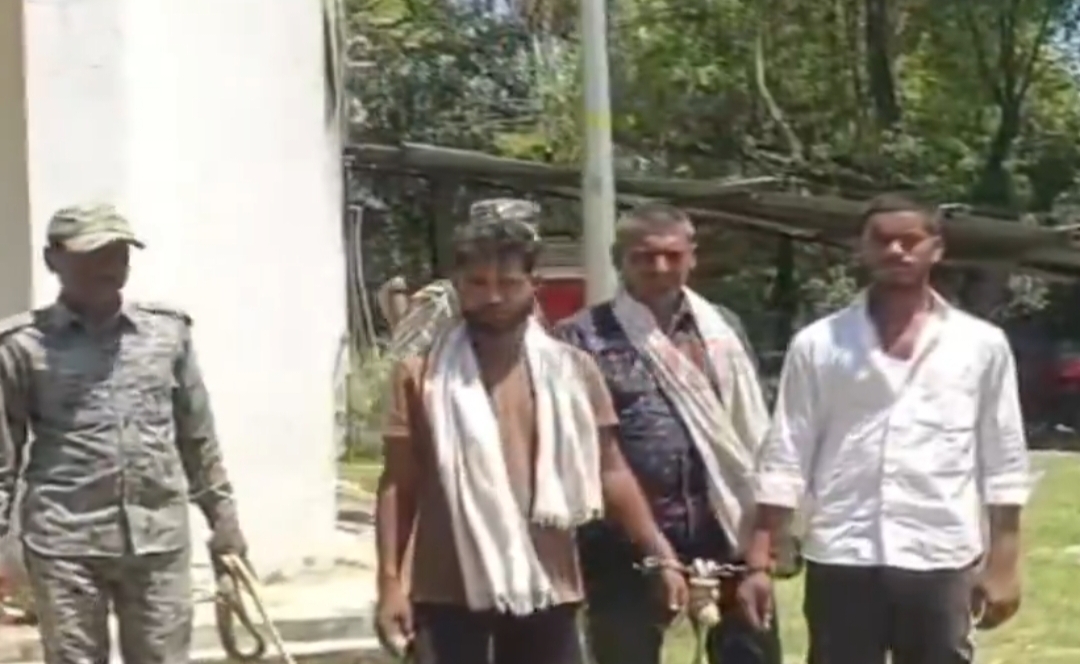 पुलिस ने मवेशी तस्करी का भंडाफोड़, 19 मवेशी के साथ तीन तस्कर गिरफ्तार
