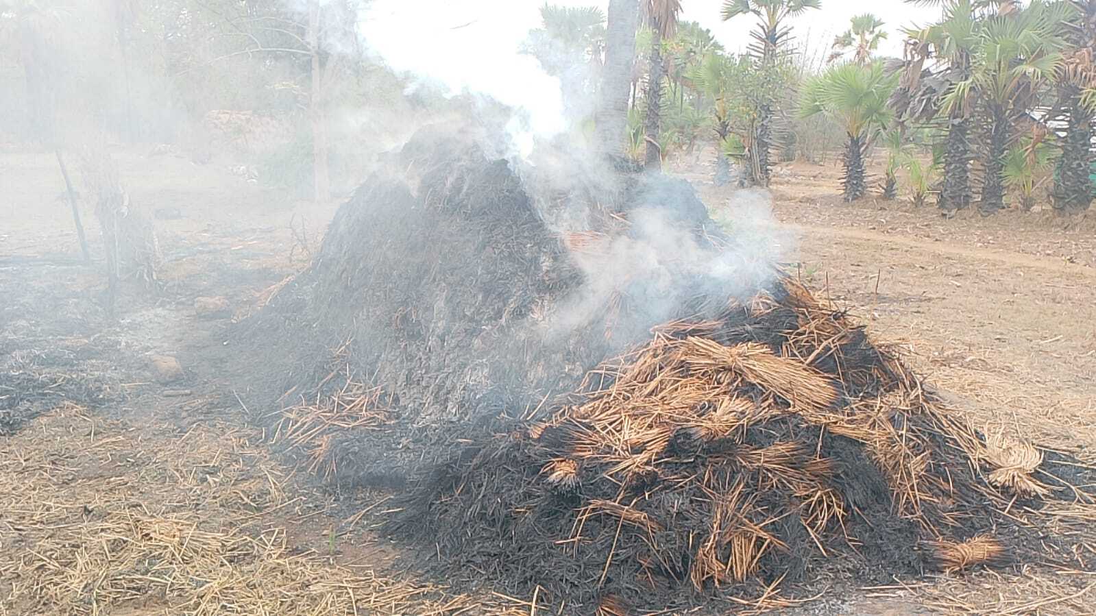 वज्रपात से खेत में रखे फूस का ढेर जला, हजारों की क्षति