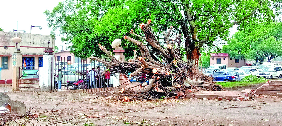 जामुड़िया में आंधी-पानी से जनजीवन अस्त-व्यस्त, कहीं गिरे पड़े तो कहीं खंभे