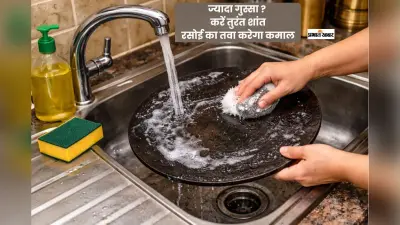 ज्यादा गुस्सा आता है? रसोई का तवा करेगा कमाल