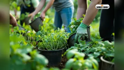 कंप्यूटर और IT के दौर में बढ़ रही है BSc Horticulture की डिमांड, जानें क्यों