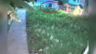 बंगाल चुनाव 2026: वोटिंग से पहले डायमंड हार्बर में मतदाताओं को धमकाने का वीडियो वायरल होते ही एक्शन में इलेक्शन कमीशन