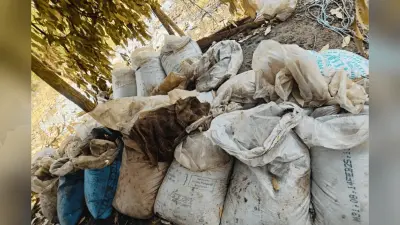 हाथों की खूबसूरती है बढ़ानी, तो जेली बैंगल्स को इस तरह करें स्टाइल