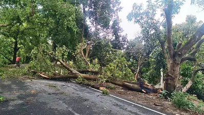 आंधी-बारिश का कहर : मढ़ौरा में टीन का शेड गिरने से महिला की मौत, एकमा में करेंट से युवक झुलसा