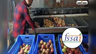 फलों को पकाने के लिए ‘मसाले’ का इस्तेमाल पड़ेगा भारी, FSSAI ने जारी किए सख्त आदेश