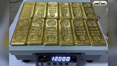 विदेशी बैंकों से लेकर SBI तक, जानिए किन-किन के पास है अब सोना मंगाने का पावर