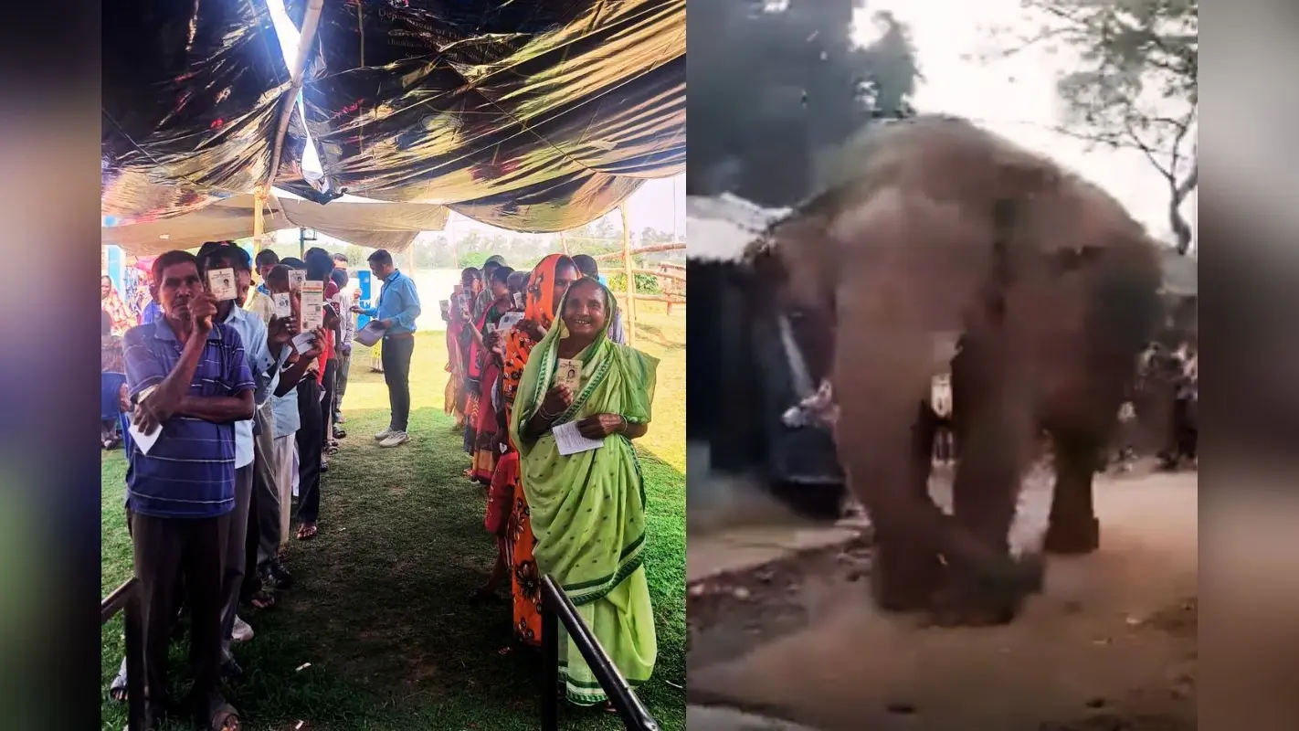 बंगाल चुनाव 2026: झारग्राम में बूथ पर आ धमका विशालकाय हाथी ‘रामलाल’, ईवीएम छोड़ गजराज को देखने लगे वोटर, देखें Video
