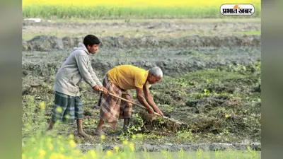 KCC का लोन नहीं भरा तो क्या बिक जाएगी जमीन ? जानें पूरा सच