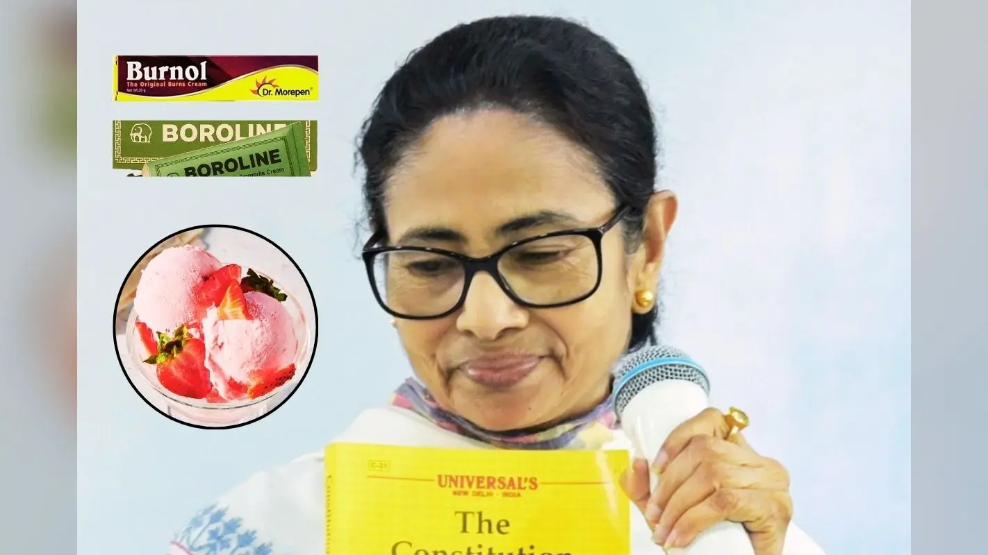 बंगाल चुनाव 2026: बरनॉल-बोरोलीन वालों को हम आइसक्रीम खिलायेंगे, भाजपा पर ममता बनर्जी का अनोखा तंज