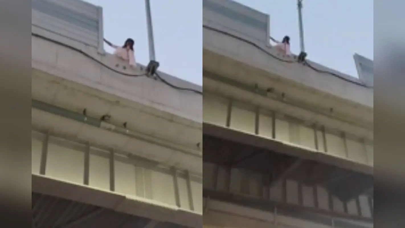 पटना में डबल डेकर पुल से युवती ने लगाई छलांग, लोगों ने हवा में पकड़ा, गंभीर हालत में PMCH में भर्ती