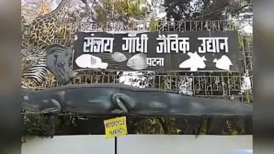 पटना जू में मिलेगा इंटरनेशनल एक्सपीरियंस, 10 करोड़ से बनेंगे फूड कियोस्क और ट्री-वॉक