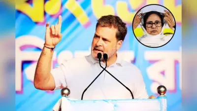 ममता बनर्जी सरकार पर राहुल गांधी का हमला- बंगाल में लोकतंत्र नहीं, TMC के आतंक का राज, हिंसा के आगे नहीं झुकेगी कांग्रेस