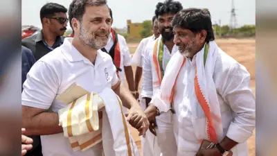 संसद के विशेष सत्र से पहले केंद्र पर बरसे राहुल गांधी, कहा- पहले जनगणना फिर हो परिसीमन