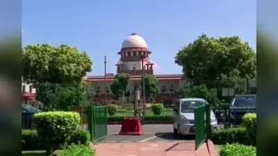 RCB vs GT: भुवनेश्वर कुमार और हेजलवुड के सामने होगी गिल, सुदर्शन और बटलर की चुनौती, दर्शकों की मौज