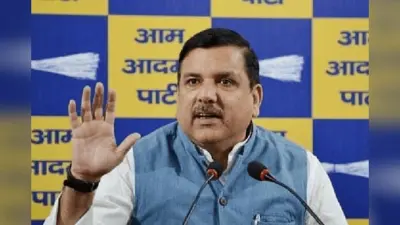 राघव चड्डा के आप छोड़ने से बौखलाए संजय सिंह ने कहा -पंजाब में ऑपरेशन लोटस चला रही है बीजेपी