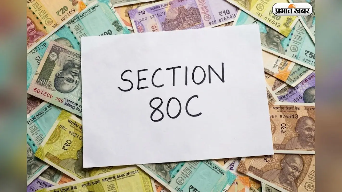 इनकम टैक्स बचाने का स्मार्ट तरीका, Section 80C से ₹1.5 लाख की बचत करें