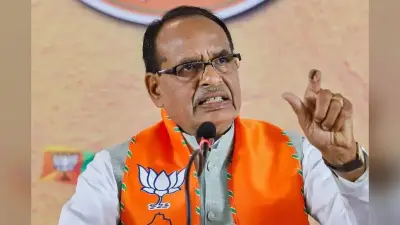 बिहार के लिए बीजेपी ने शिवराज सिंह चौहान को बनाया ऑब्जर्वर, नई सरकार की सुगबुगाहट तेज