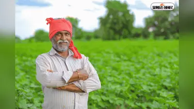 UP Farmers News: अब बिना रजिस्ट्री भी गेहूं बेच सकेंगे किसान, CM योगी ने दिए सख्त निर्देश