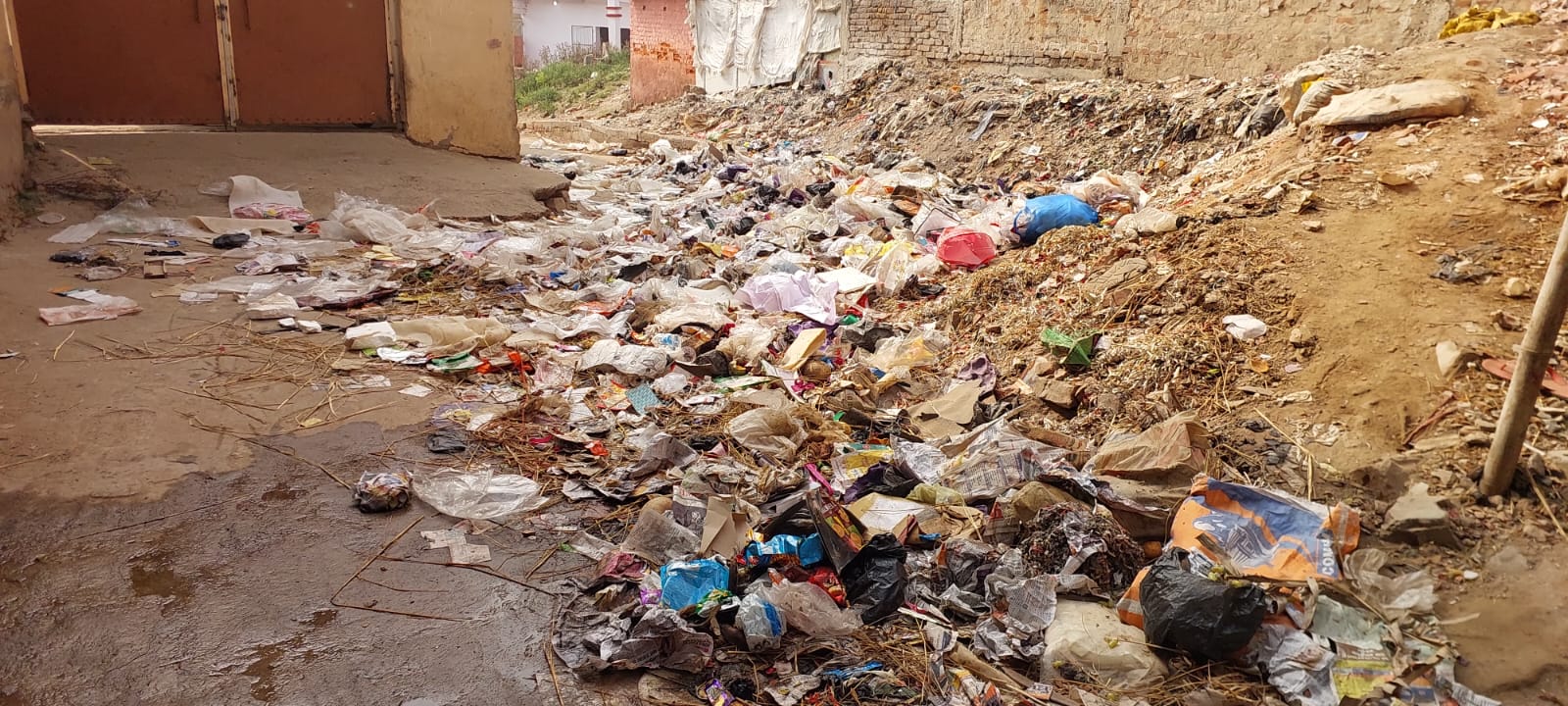 बारिश से बदल रही है शहर की तस्वीर, कूड़े से उठ रहे हैं बदबू:
