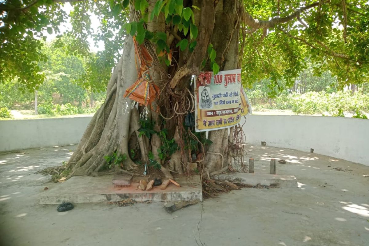 लखीसराय में सतघरवा कोड़ासी का ऐतिहासिक मेला, जहां सदियों से कायम है आस्था