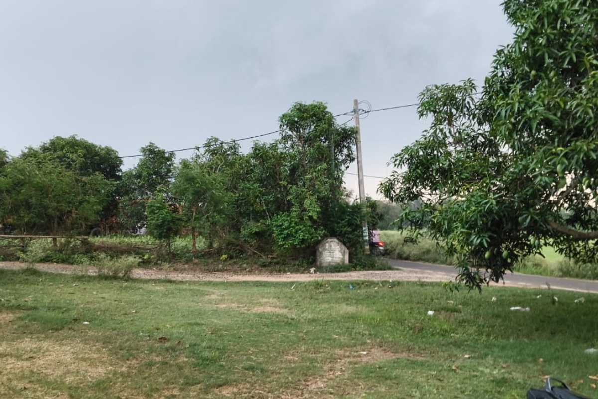 दरभंगा: बेमौसम बारिश से किसानों की बढ़ी चिंता, मूंग फसल को भारी नुकसान