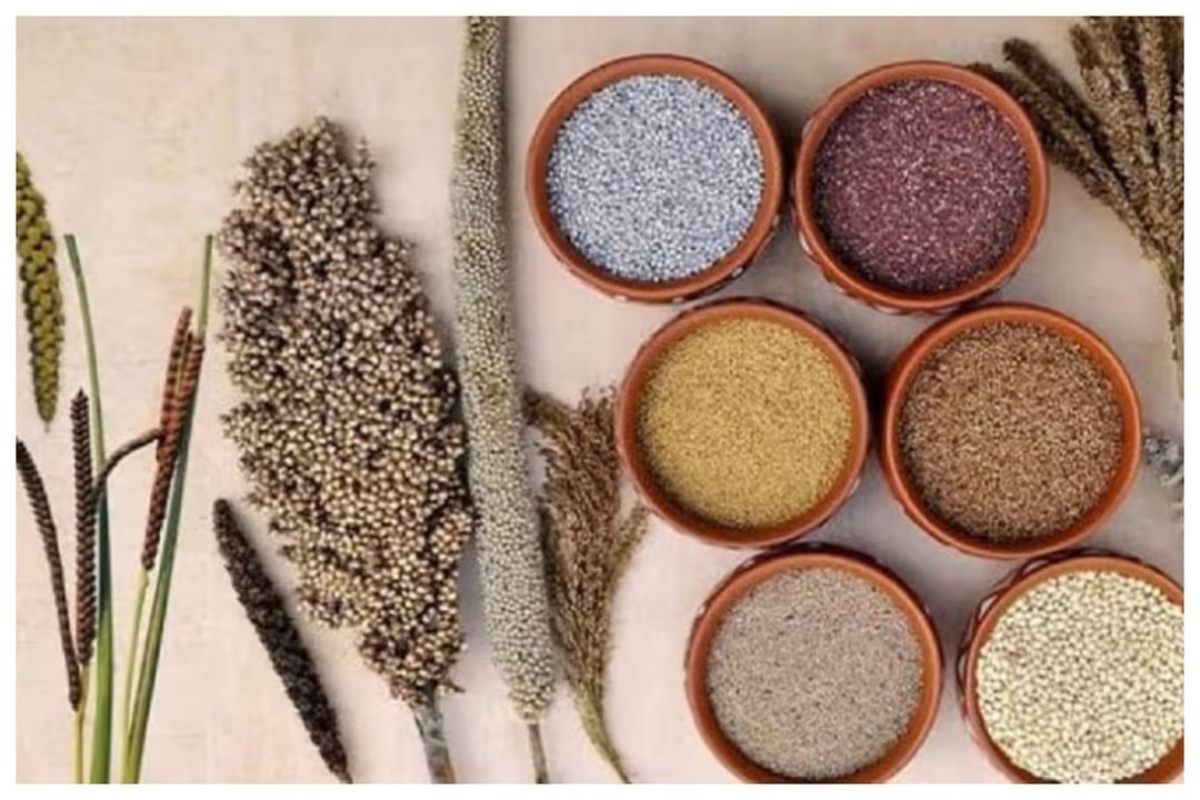 Darbhanga Market Update: दरभंगा मंडी में बदले दाम, जाने अनाज के लेटेस्ट रेट