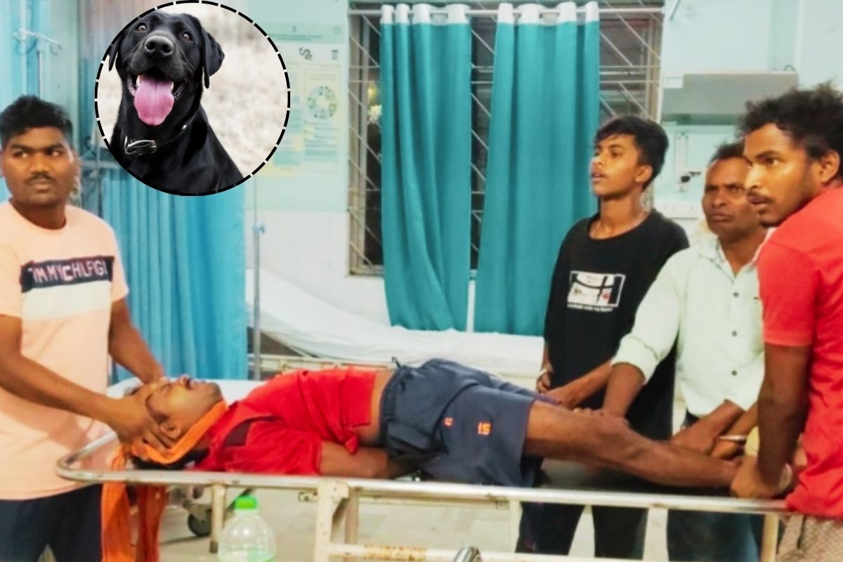 गुमला: कुत्ते के काटने के बाद अस्पताल नहीं, झाड़-फूंक के भरोसे रहा युवक, हालत बिगड़ने पर रिम्स रेफर