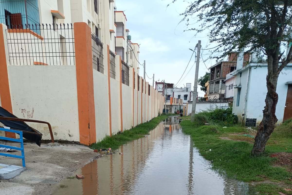 Madhubani: झमाझम बारिश के बाद ऑफिसर कॉलोनी में जलजमाव, नाला नहीं होने से बढ़ी मुसीबत