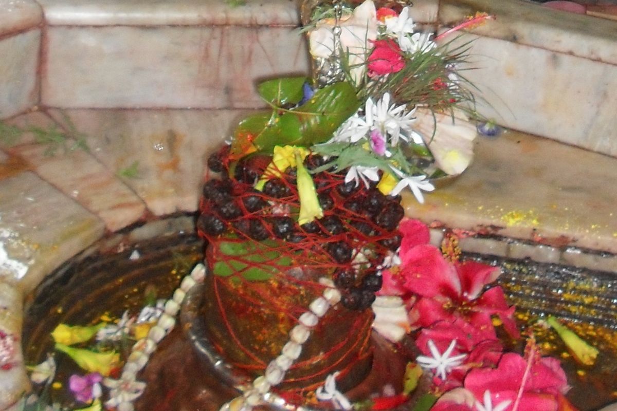 हर-हर महादेव से गूंजा पातालेश्वर बाबा का दरबार, सुबह से लगी भक्तों की भीड़